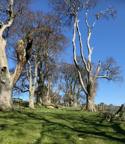 Shropshire Hills Walking Holiday: Towards Bishops Castle